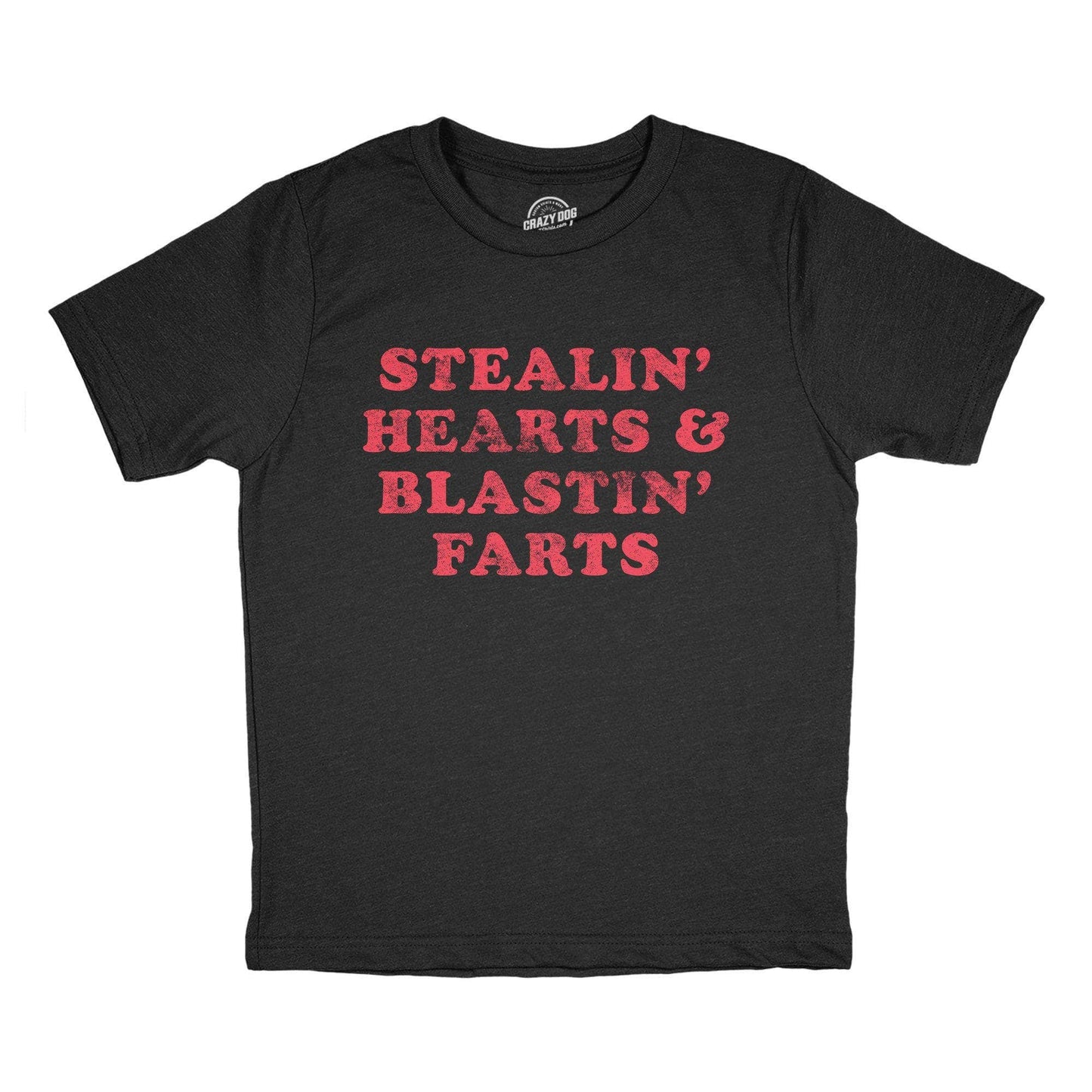 Stealin' Hearts and Blastin' Farts Youth Tshirt Valentine's