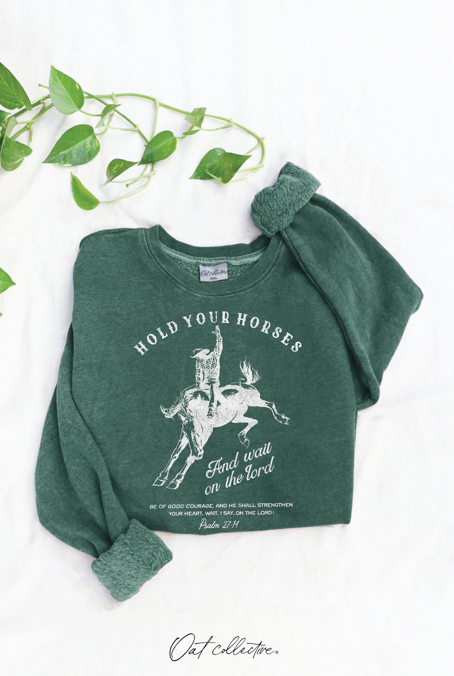 Hold Your Horses Mineral Graphic Sweatshirt