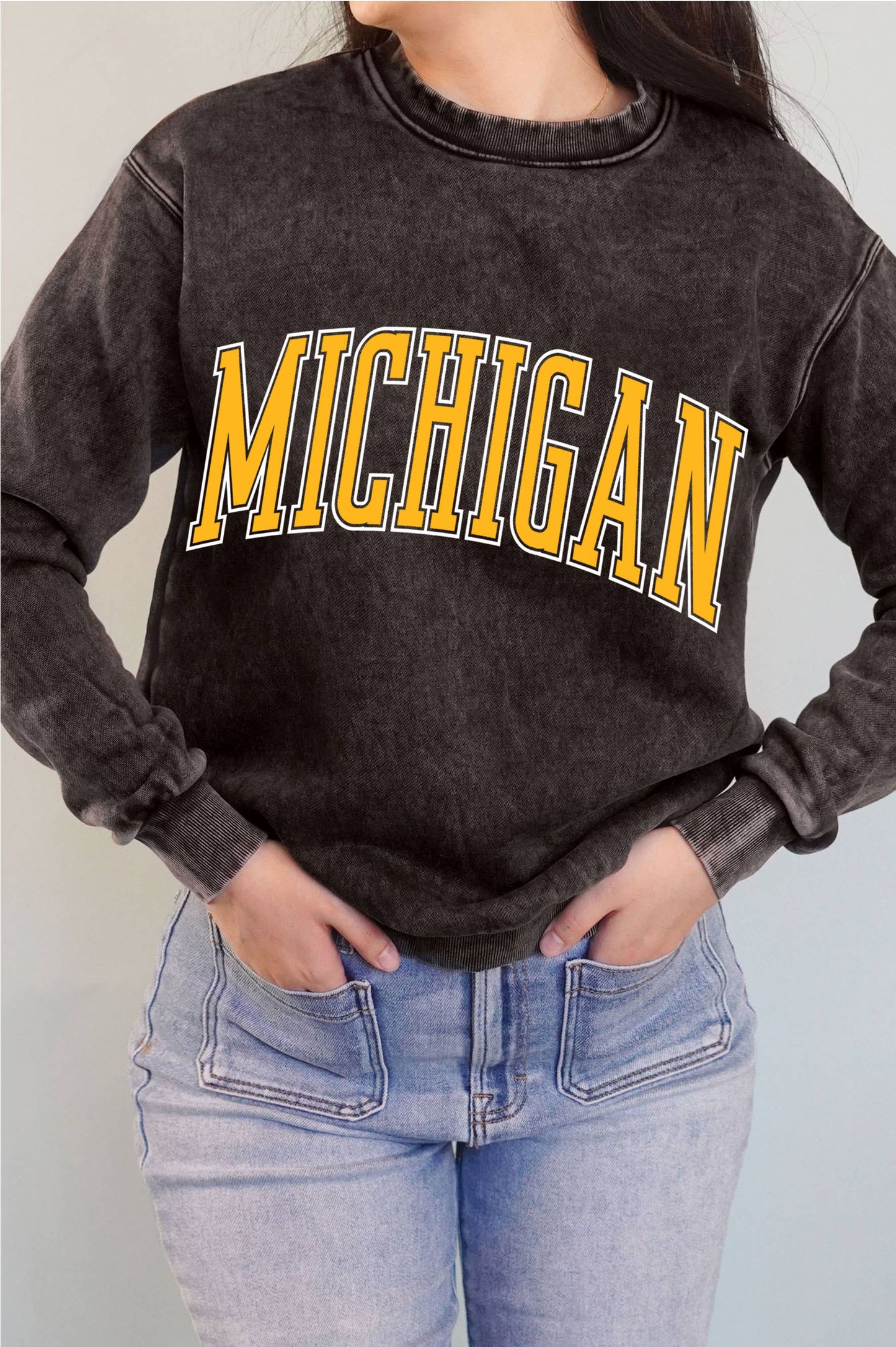 Michigan Puff Graphic Mineral Brushed Sweatshirt