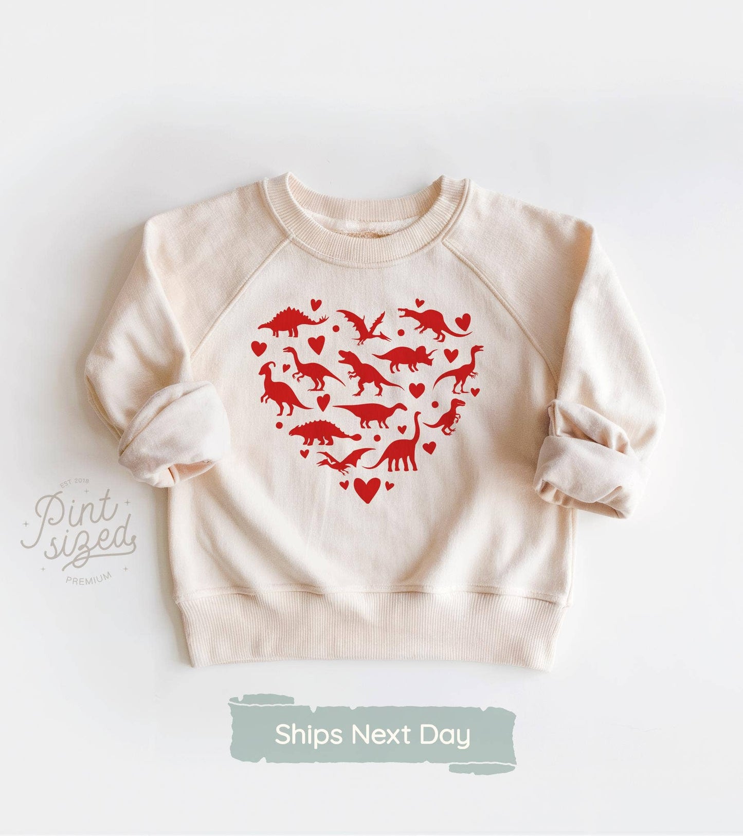 Dinosaur Heart Toddler Shirt - Boys Valentine's Tee