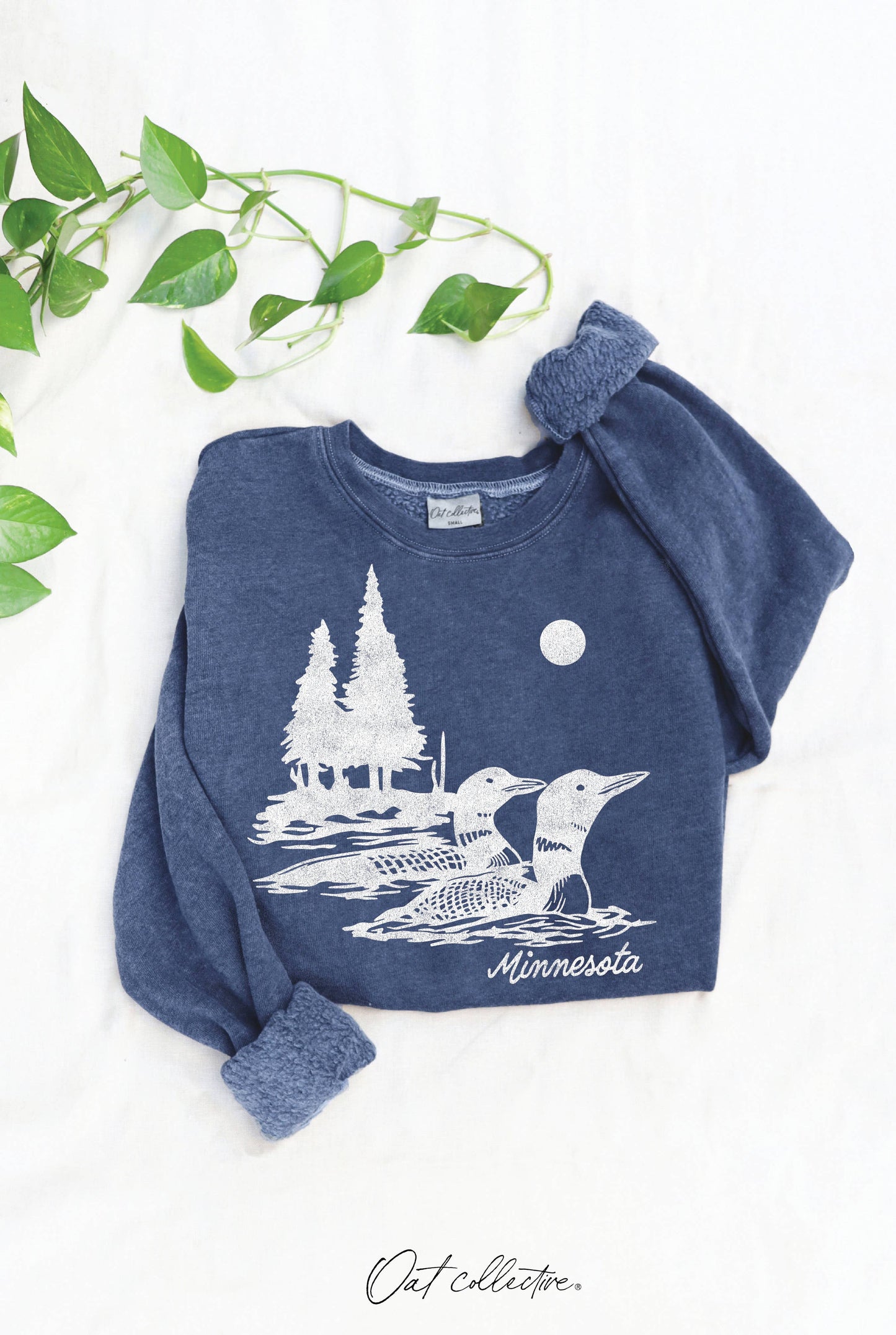 Minnesota Mineral Graphic Sweatshirt