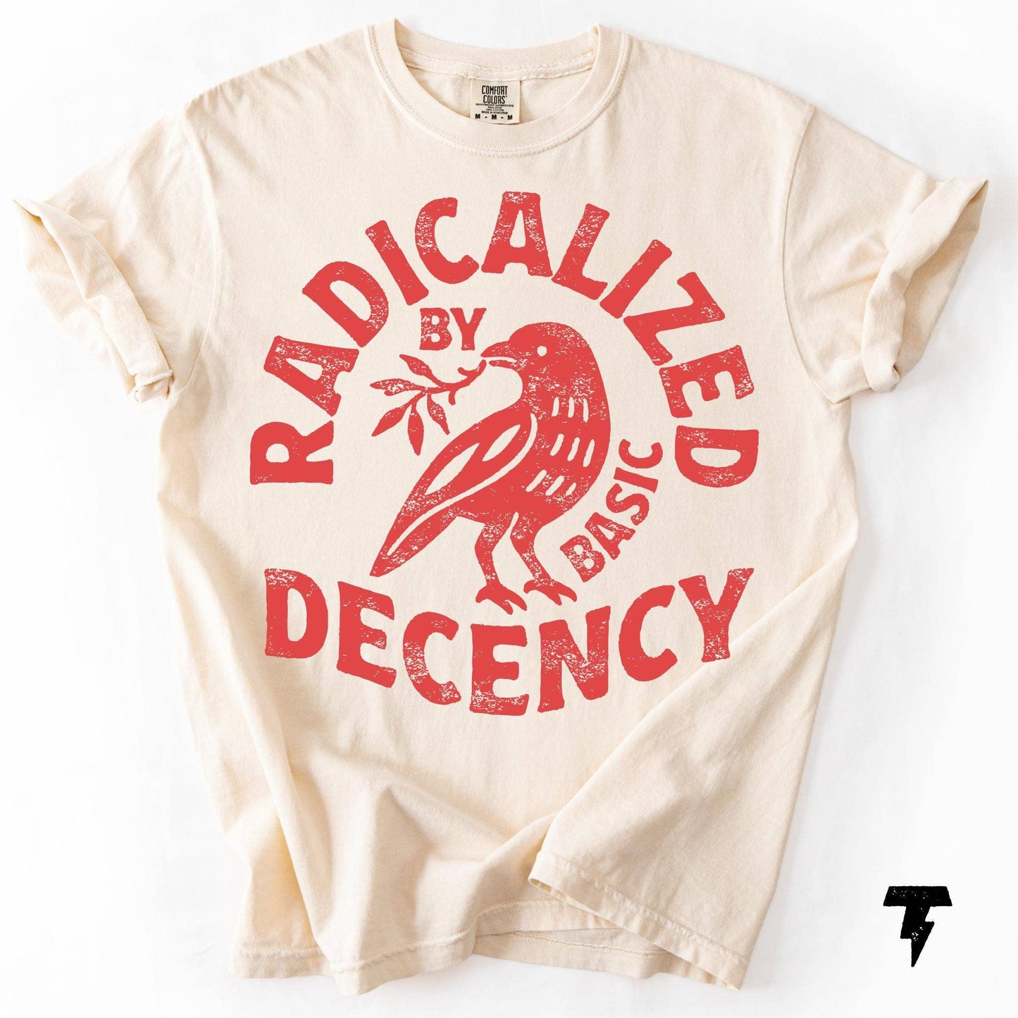 Radicalized By Basic Decency Political Protest Tee