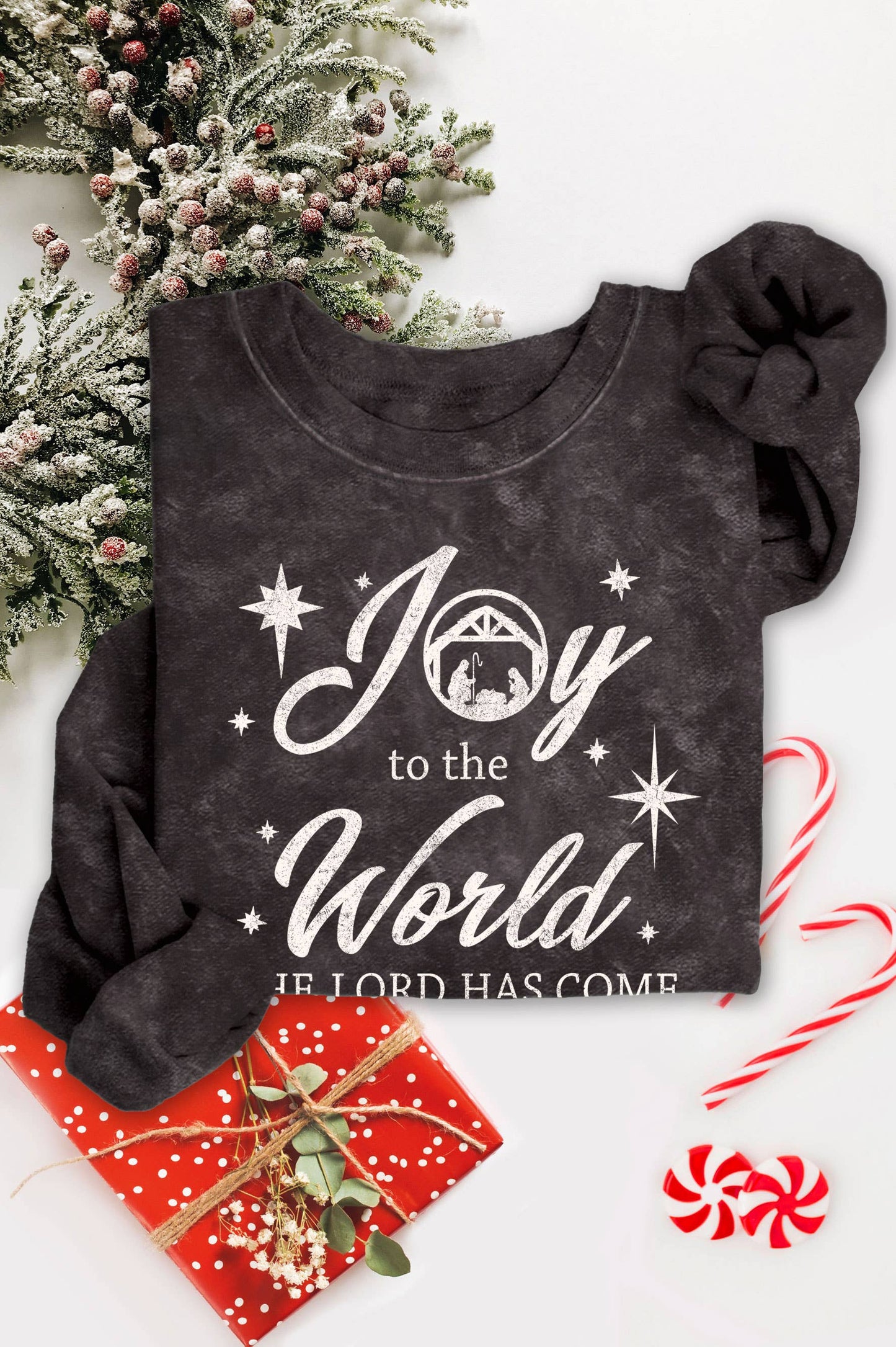 Joy To the World Mineral Graphic Brushed Sweatshirt