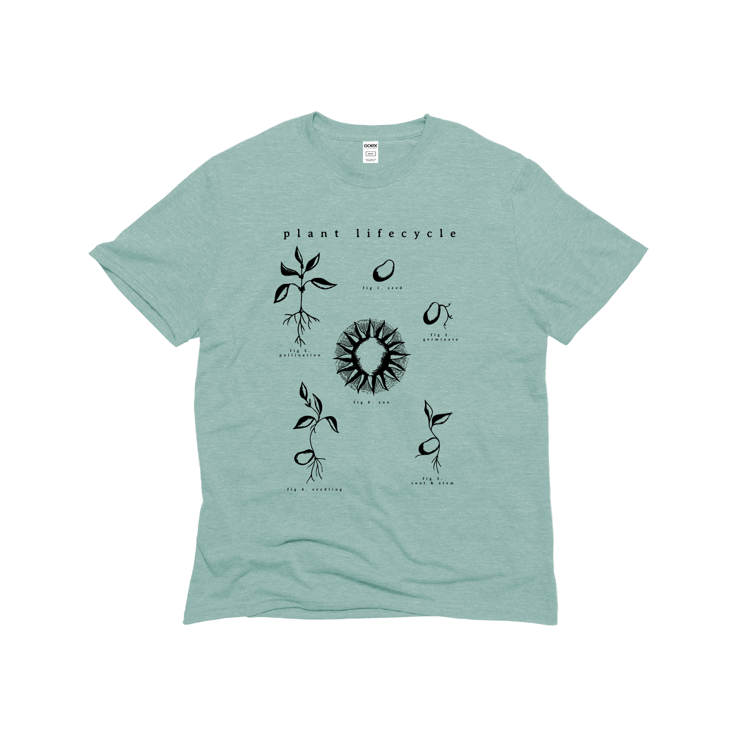 Plant Life Cycle Graphic Tee - Sage - 12pk