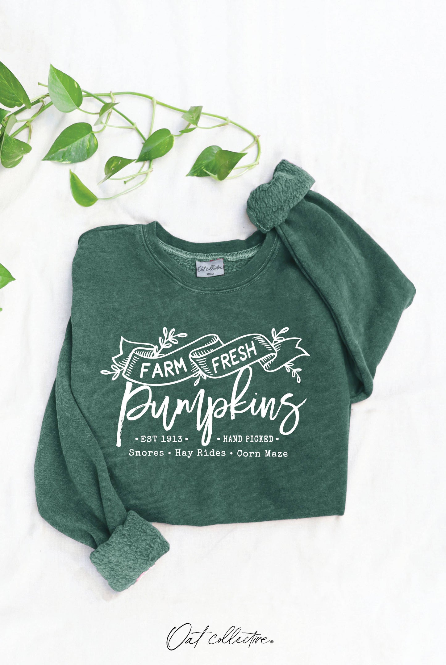 Farm Fresh Pumpkins Mineral Graphic Sweatshirt