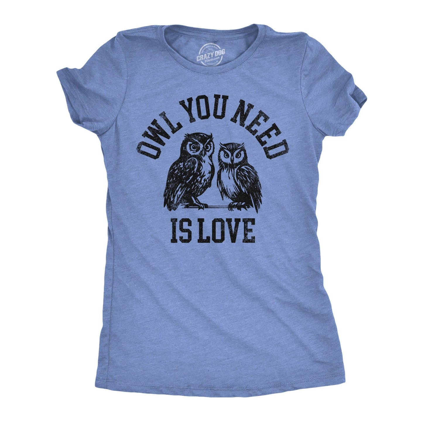 Owl You Need Is Love Women's T Shirt