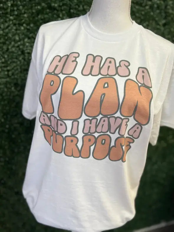 He Has A Plan & I Have A Purpose On Sand Tee