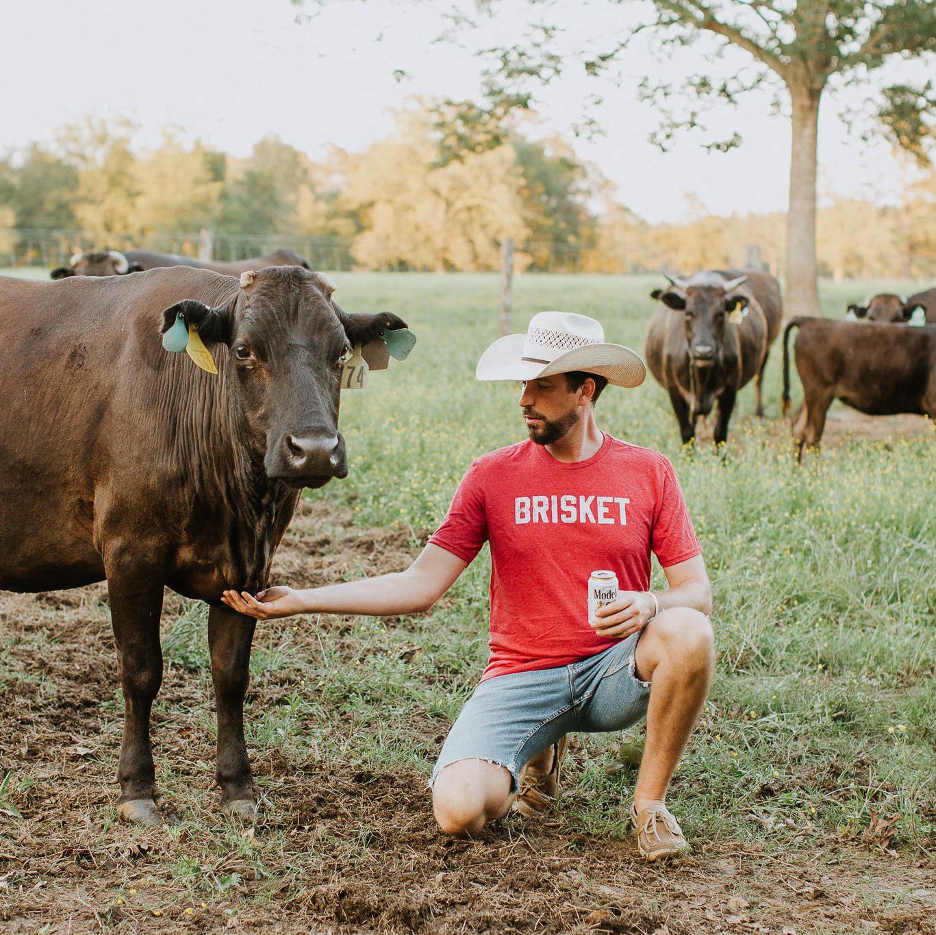Brisket Men's Shirt, Father's Day Tee, Funny Men Shirt, Bbq