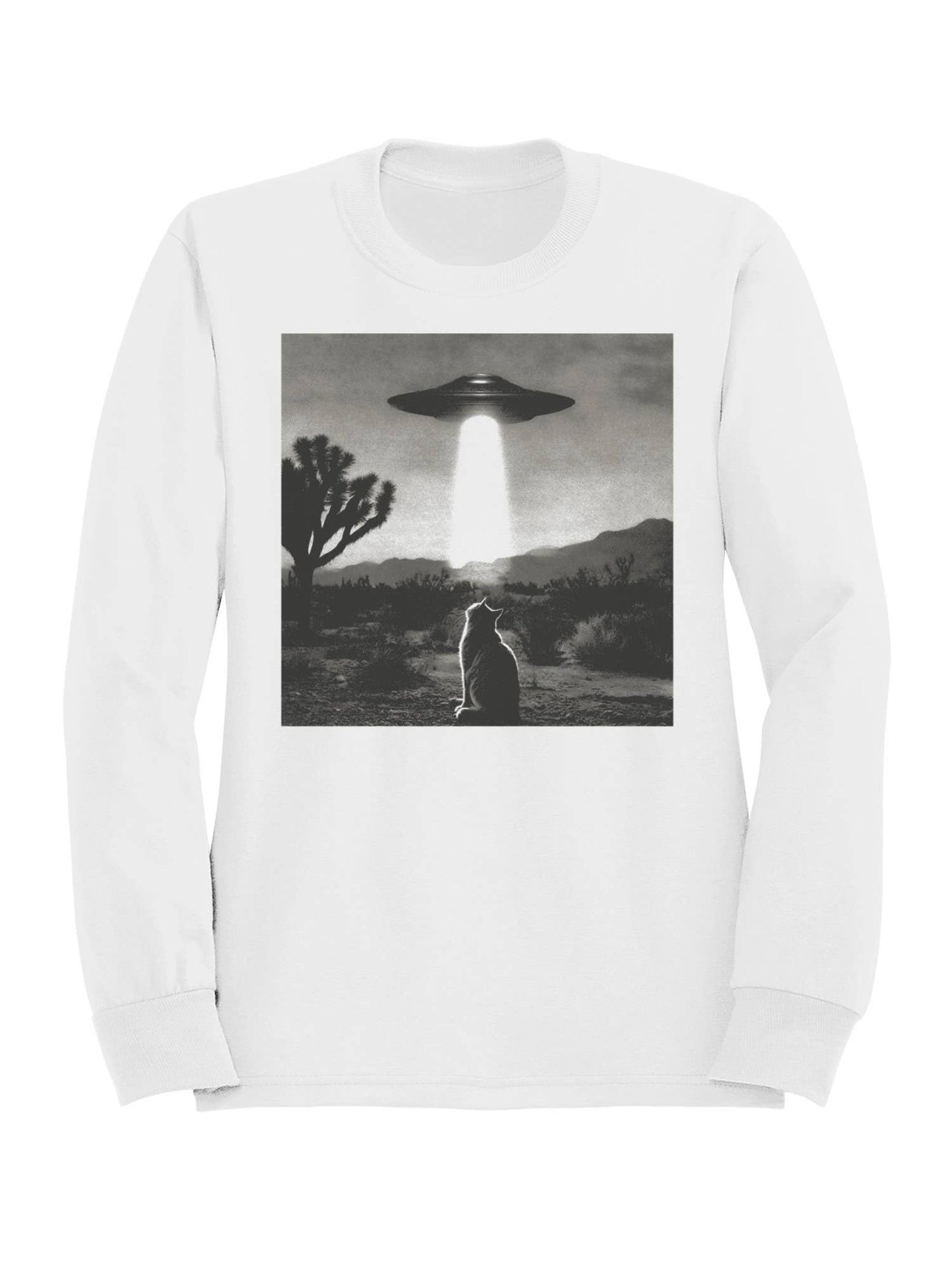 Alien Cat in Desert Encounter Men's Sweatshirt