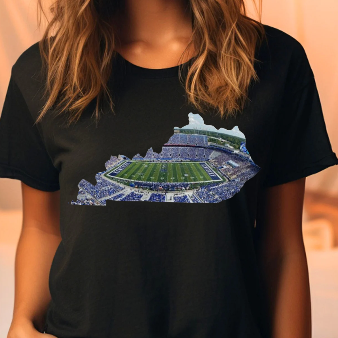 Uk Kentucky Stadium Tee or Sweatshirt