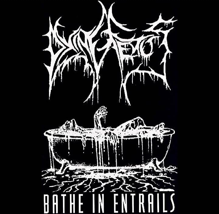 Dying Fetus Bathe in Entrails Hoodie