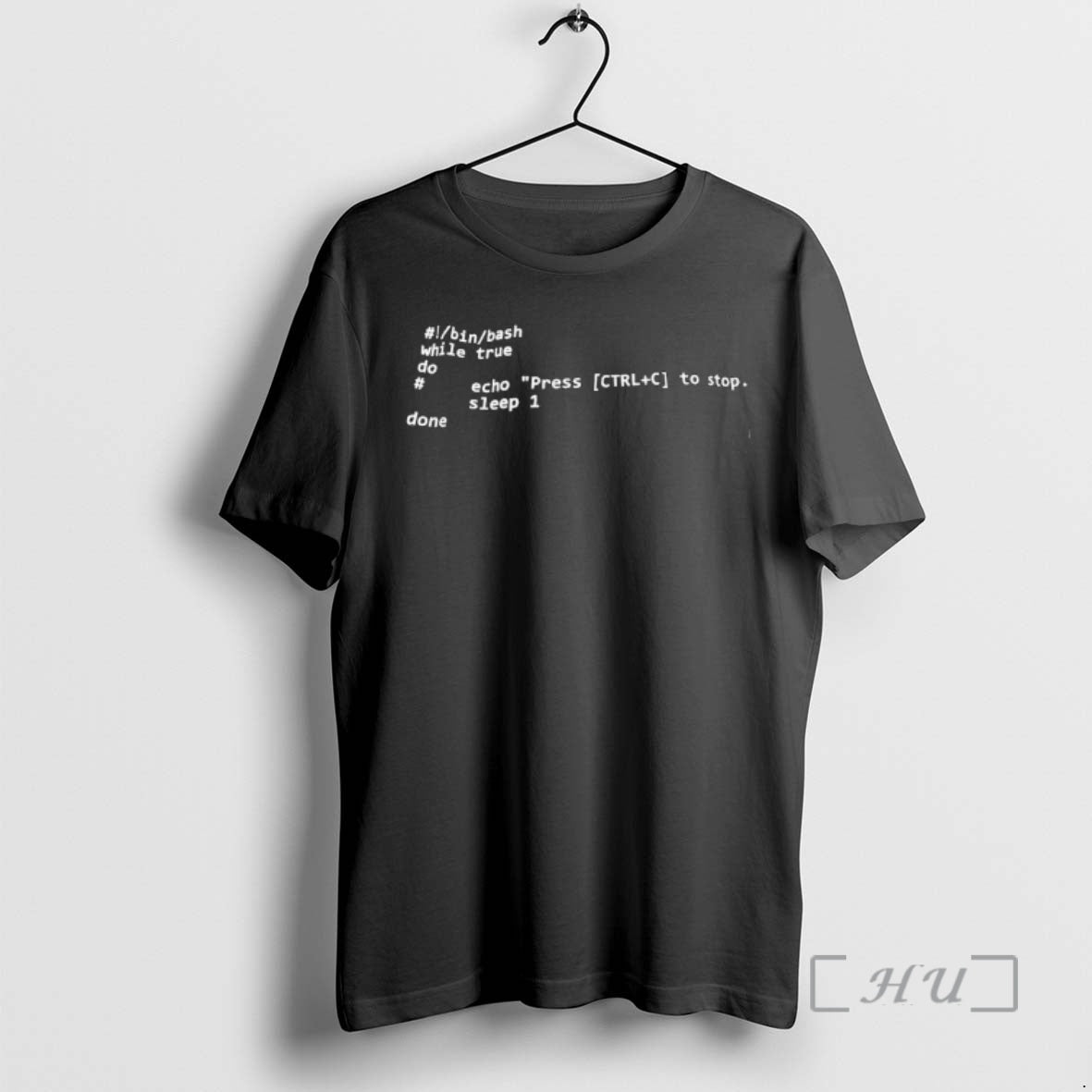 Officials Code While True Do Echo