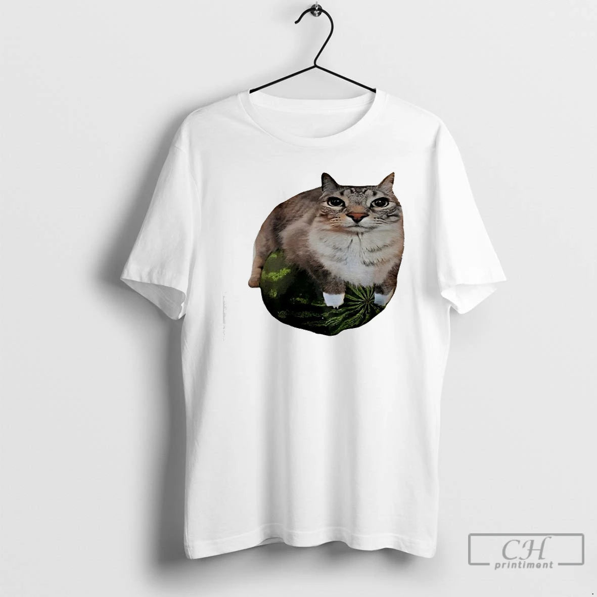 Premium Watermelon Cat Silly Meme