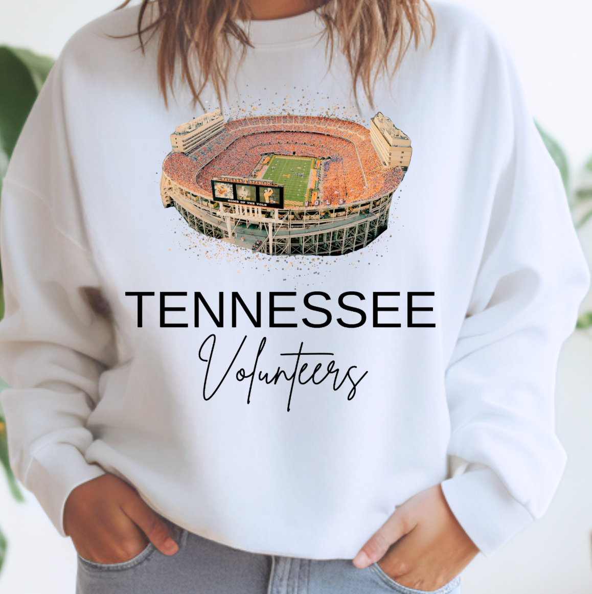 Tennessee Volunteers Stadium Tee or Sweatshirt