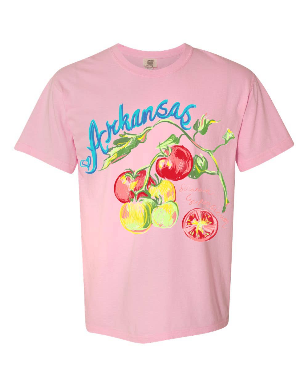 Arkansas Fruit Blossom Comfort Colors Tee