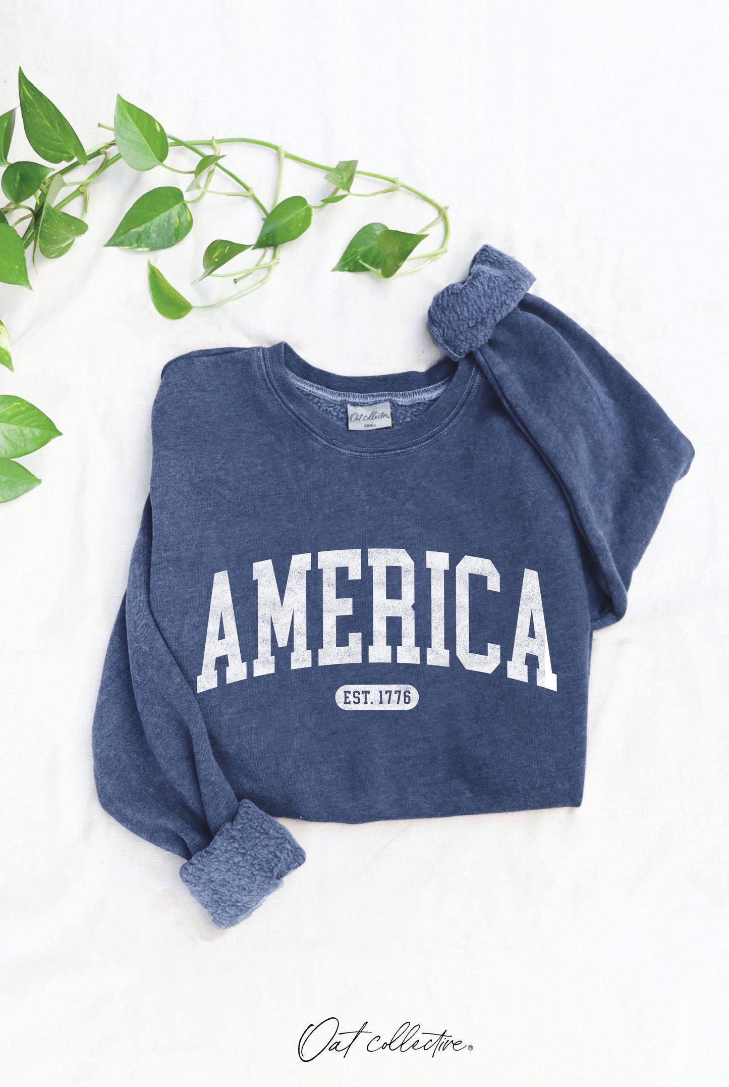 America Est 1776 Mineral Graphic Sweatshirt