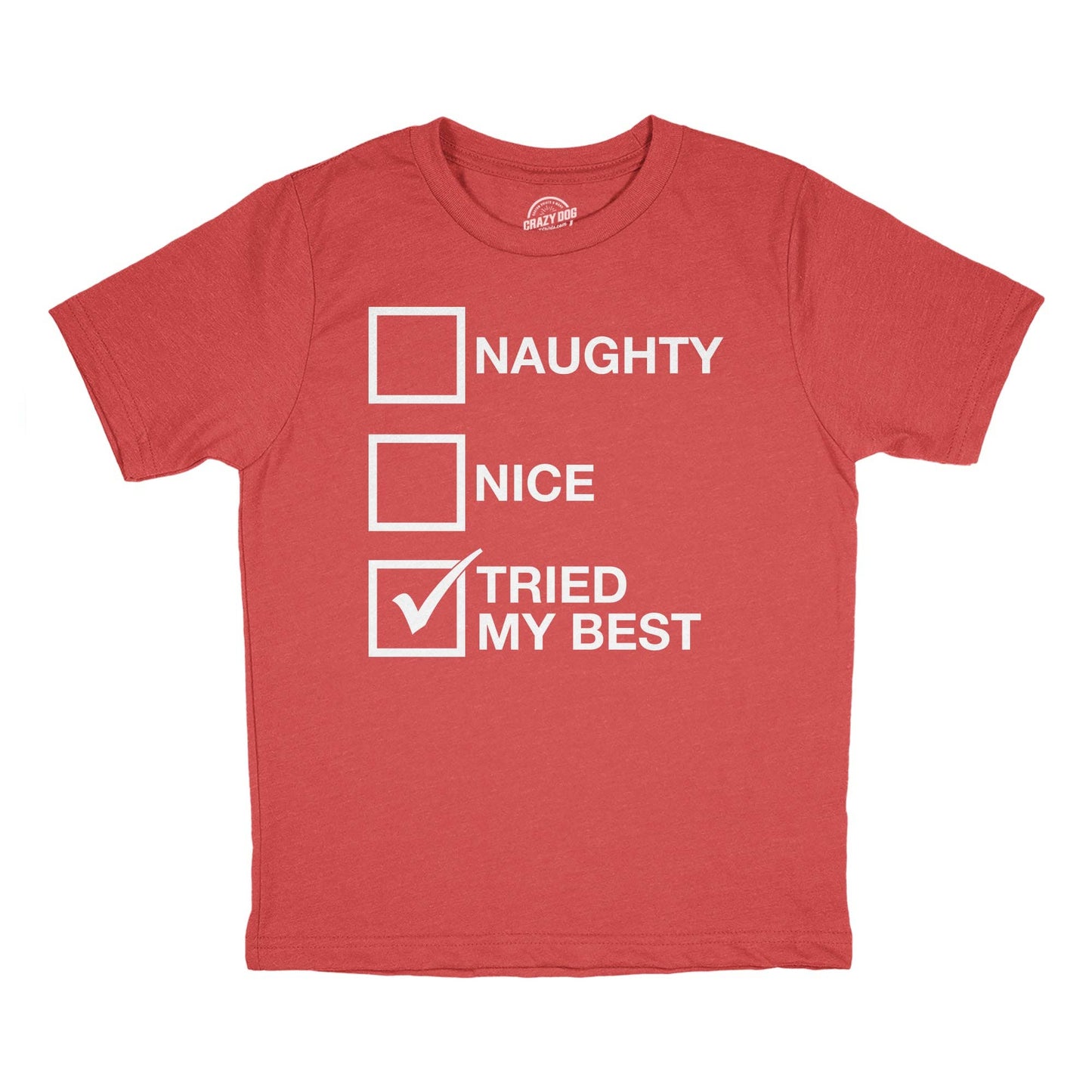Naughty List Nice List Tried My Best Youth T Shirt