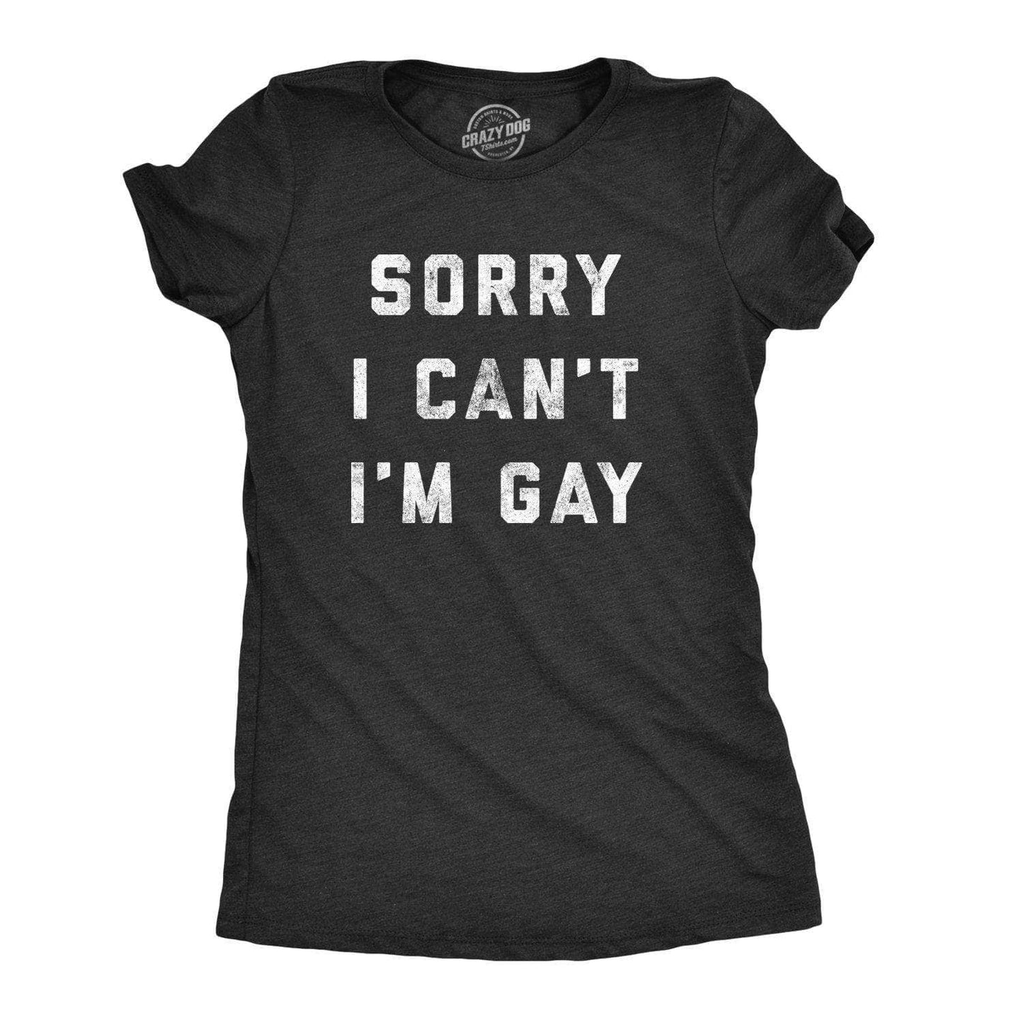 Sorry I Can't I'm Gay Women's Tshirt Pride Graphic Tee