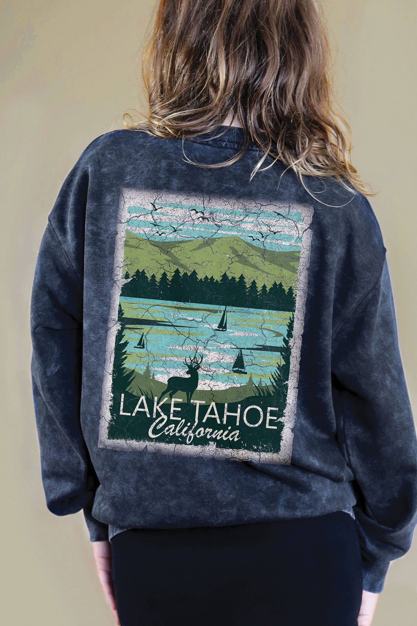 Lake Tahoe California F&B Mineral Graphic Brushed Sweatshirt
