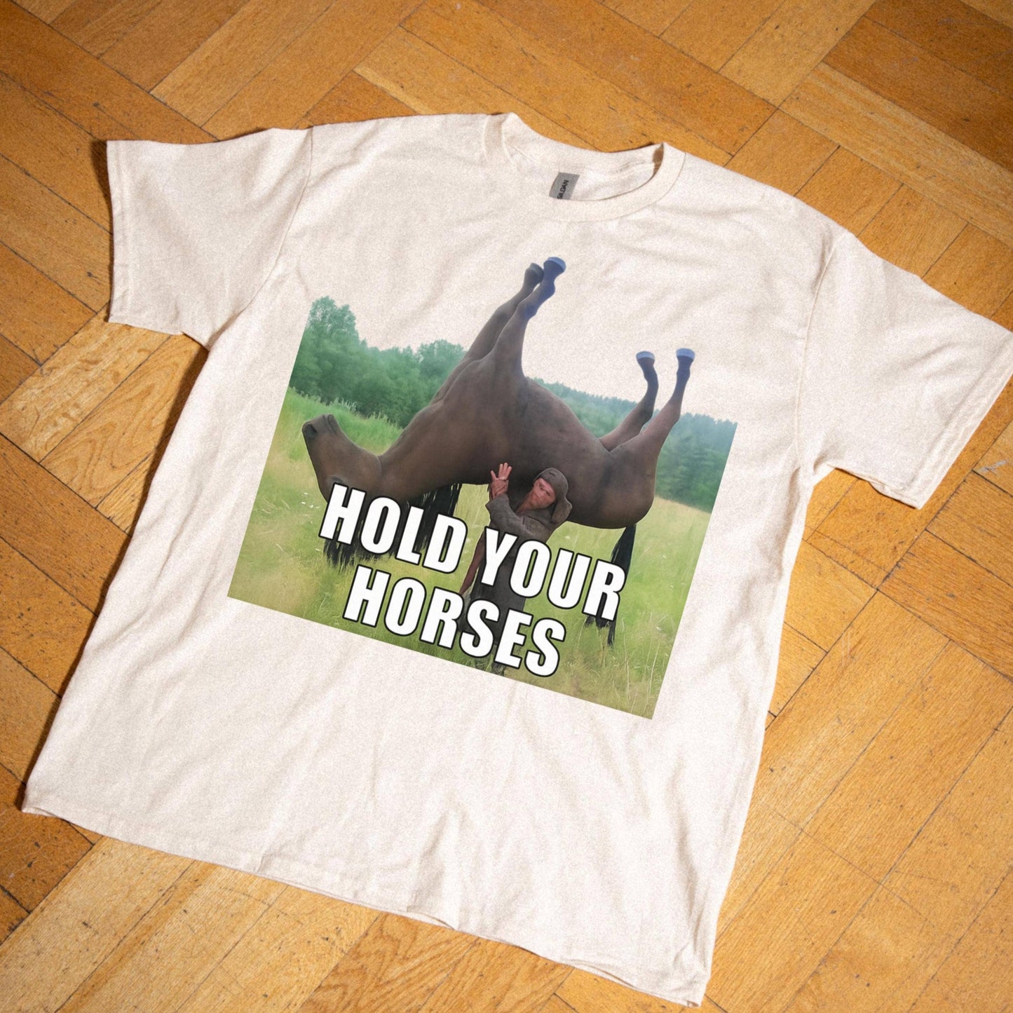 Hold Your Horses Funny Meme Shirt