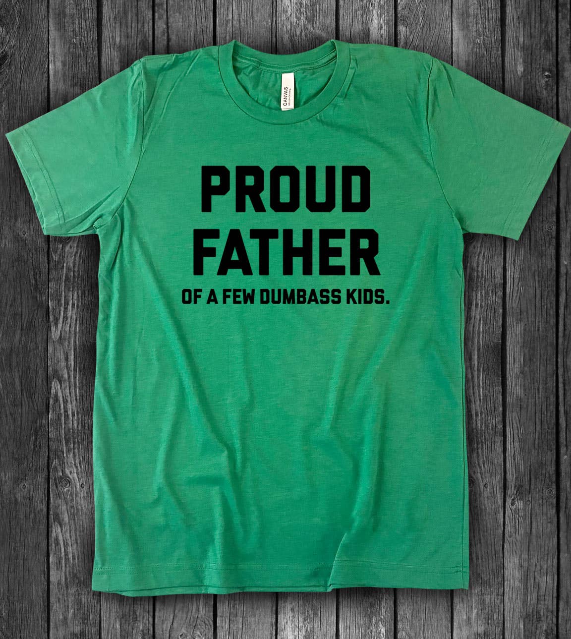 Proud Father - Dad Father's Day Sarcastic Fun Silly T-Shirt