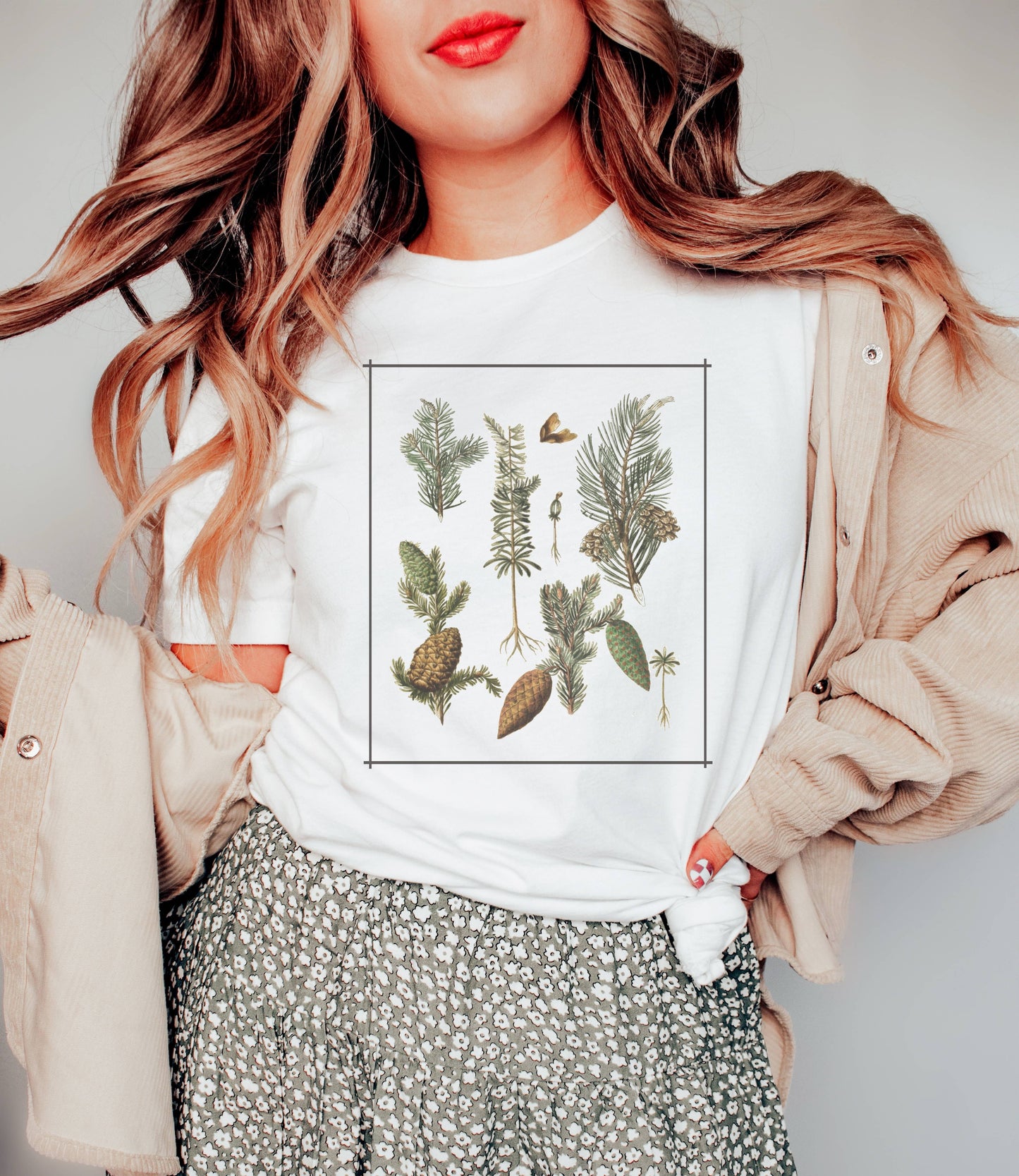 Vintage Pine Tree Chart © | Nature Tee