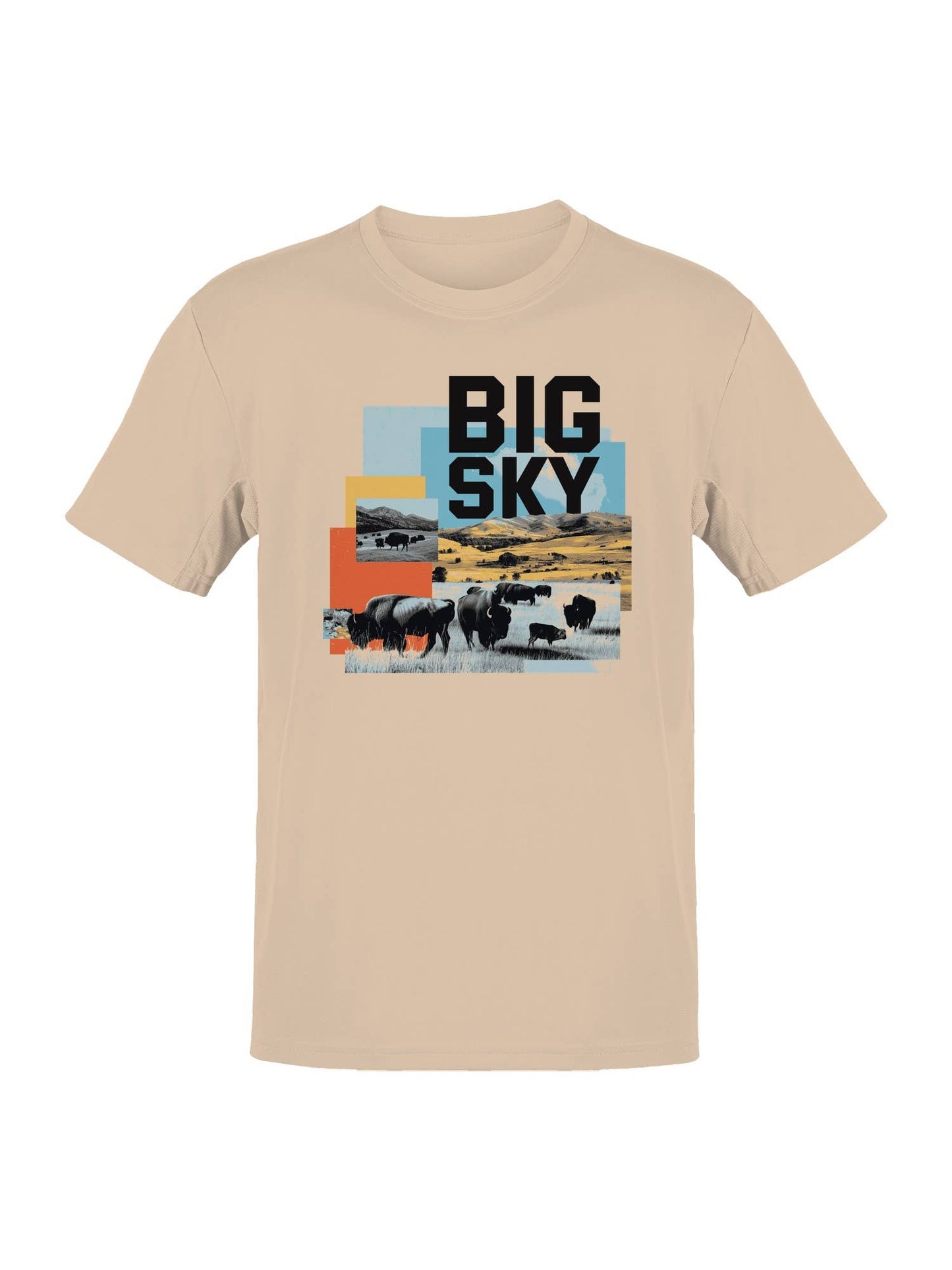 Big Sky Bison Landscape Art Men's T-Shirt