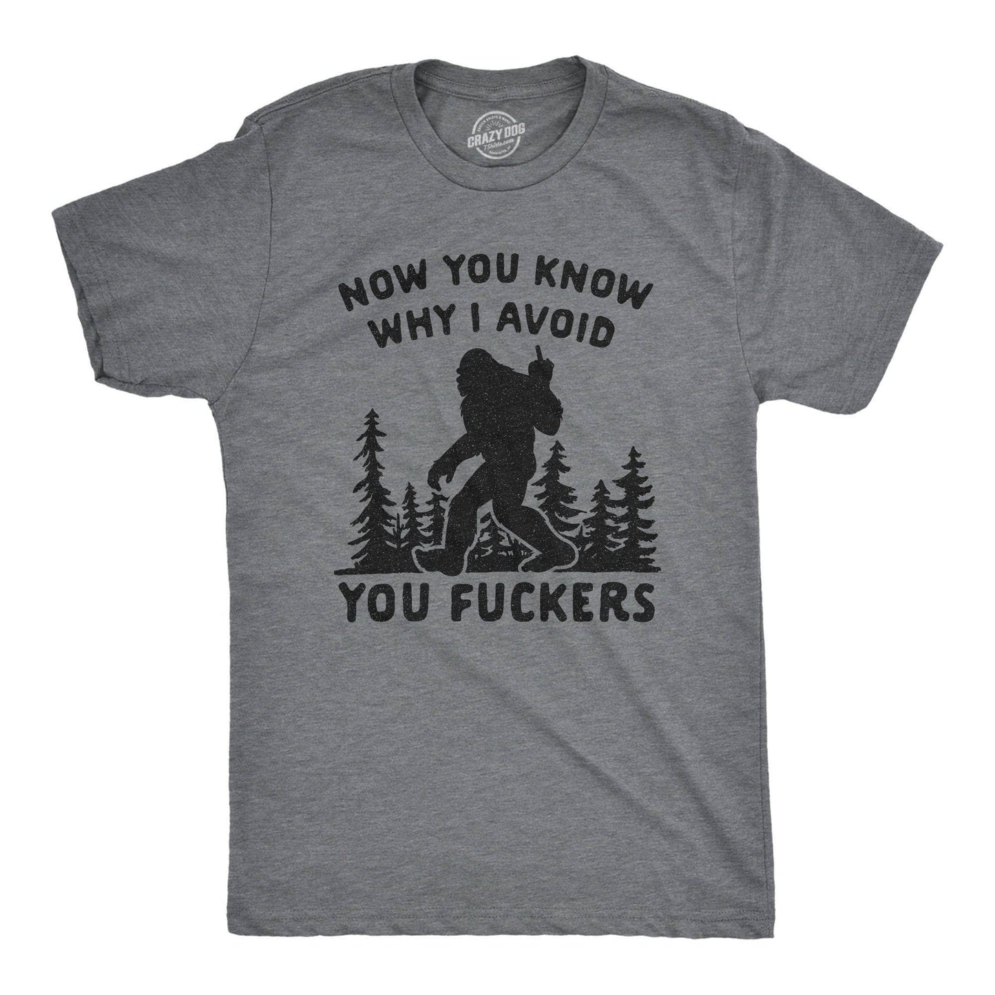 Now You Know Why I Avoid You Fuckers Men's Tshirt Introvert