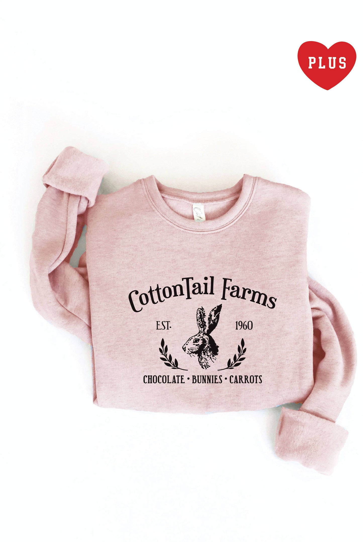 Cottontail Farms Plus Graphic Sweatshirt