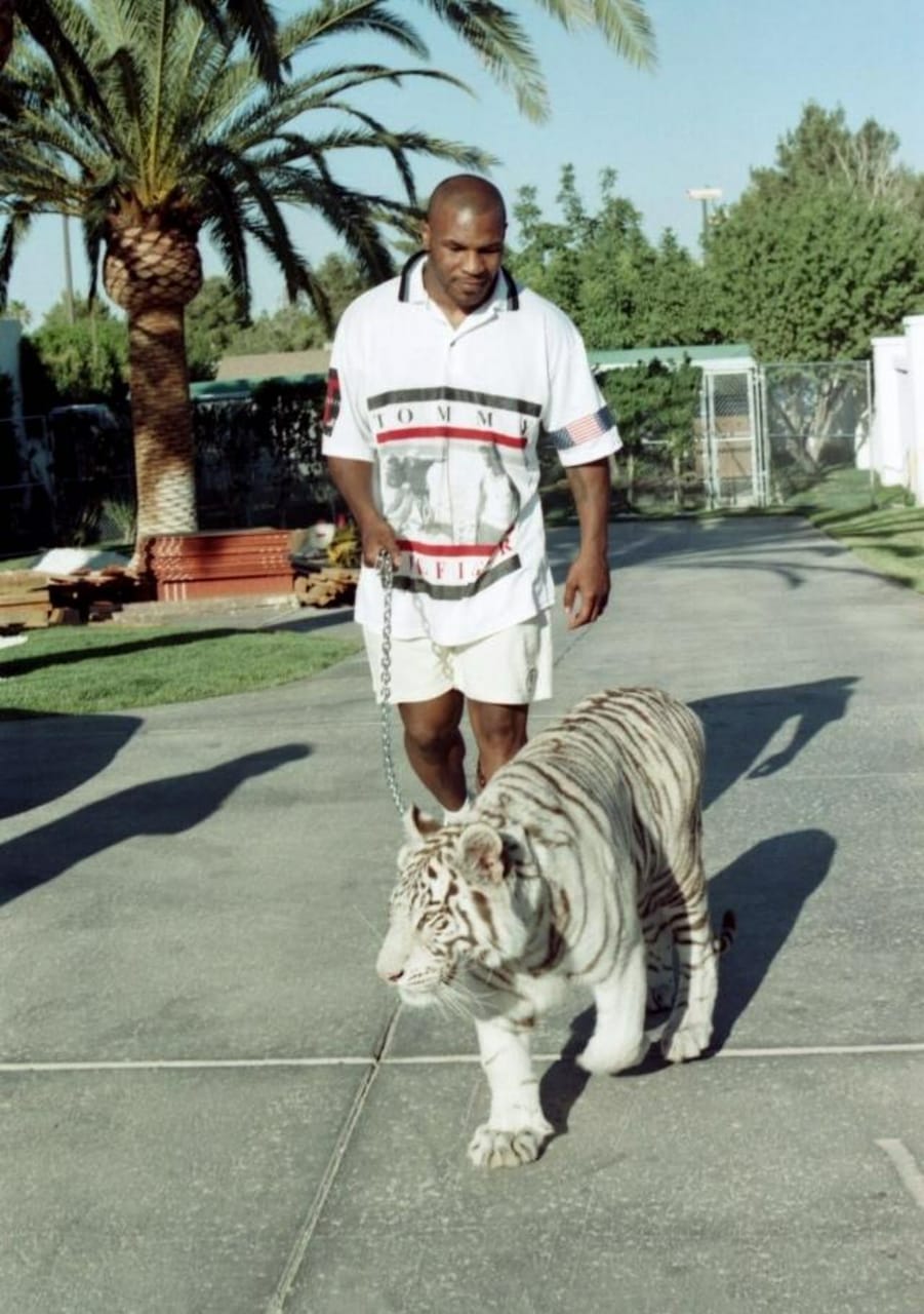 Mike Tyson And White Tiger T-Shirt