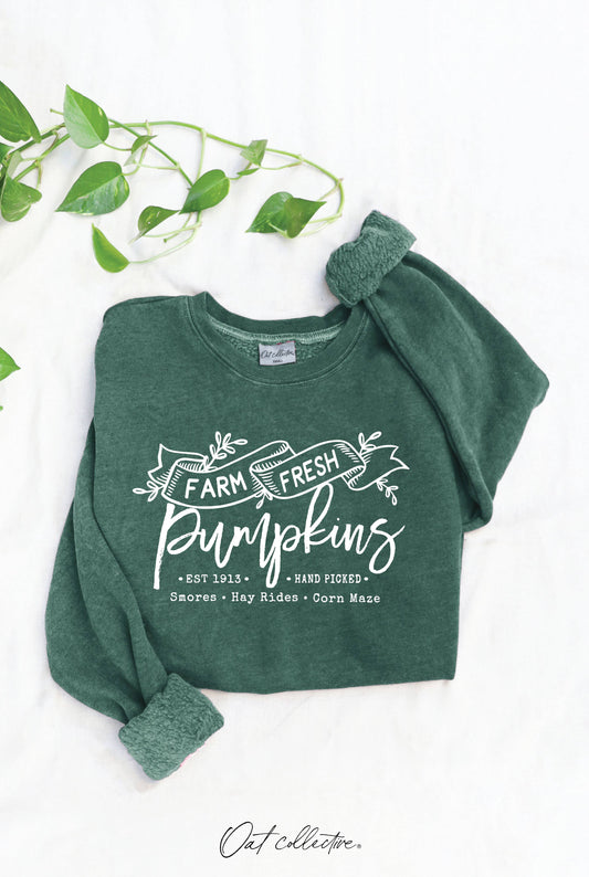 Farm Fresh Pumpkins Mineral Graphic Sweatshirt