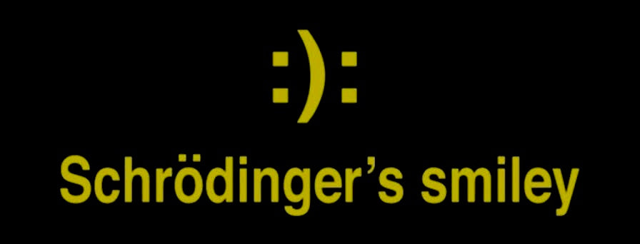 Schrodinger Smiley T-Shirt