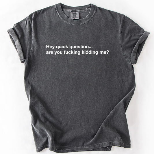 Hey Quick Question, Are You Kidding Me, Sarcastic T-Shirt