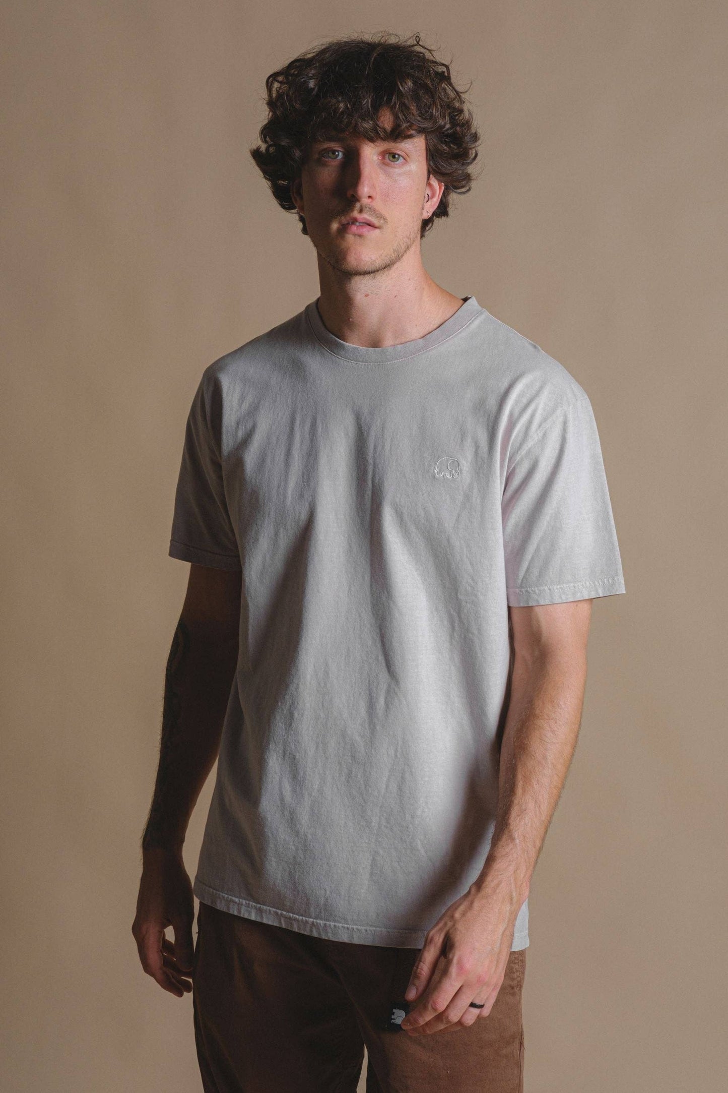 Essential Pigment T-Shirt Island Fossil