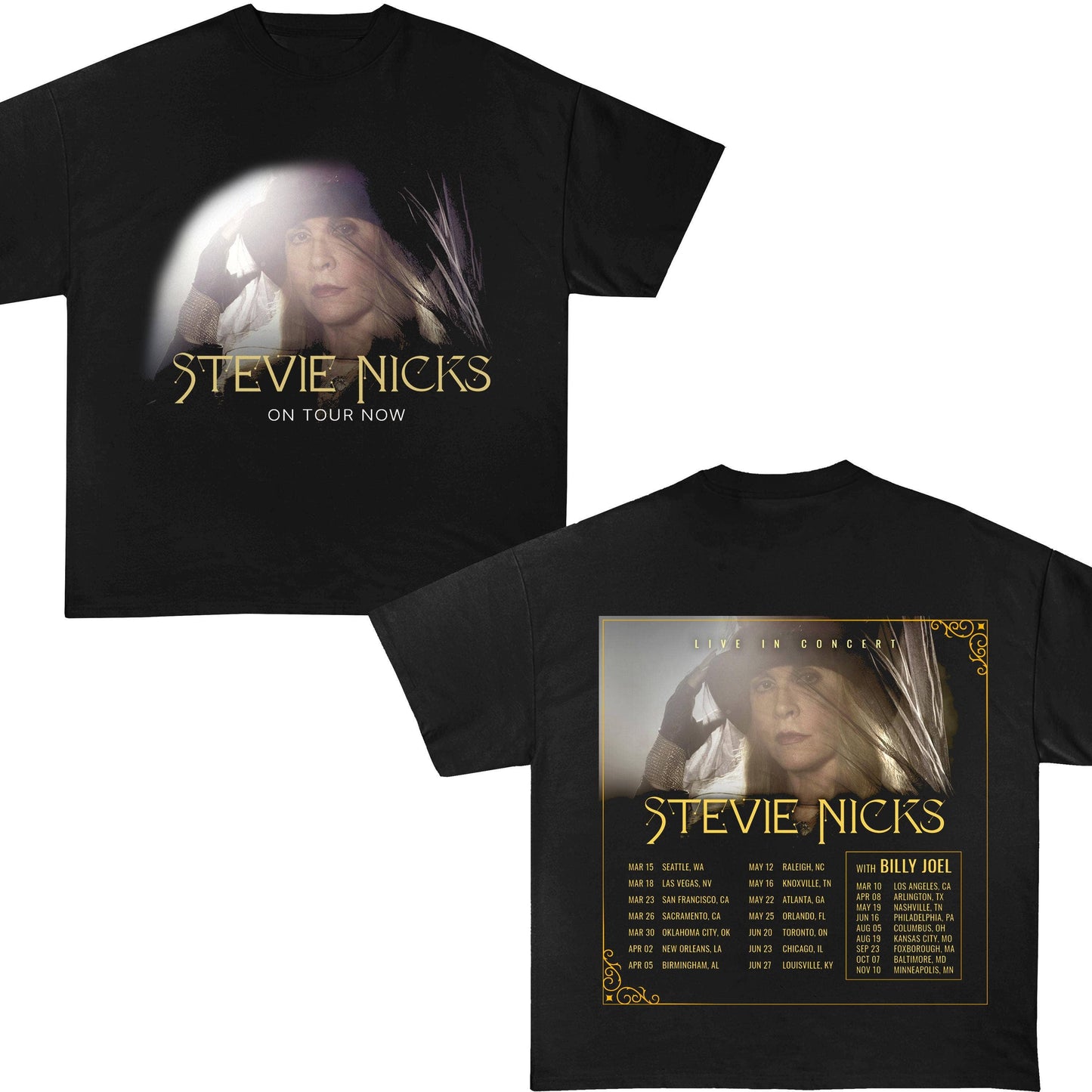Stevie Nicks 2025 Tour Vintage Concert Tee