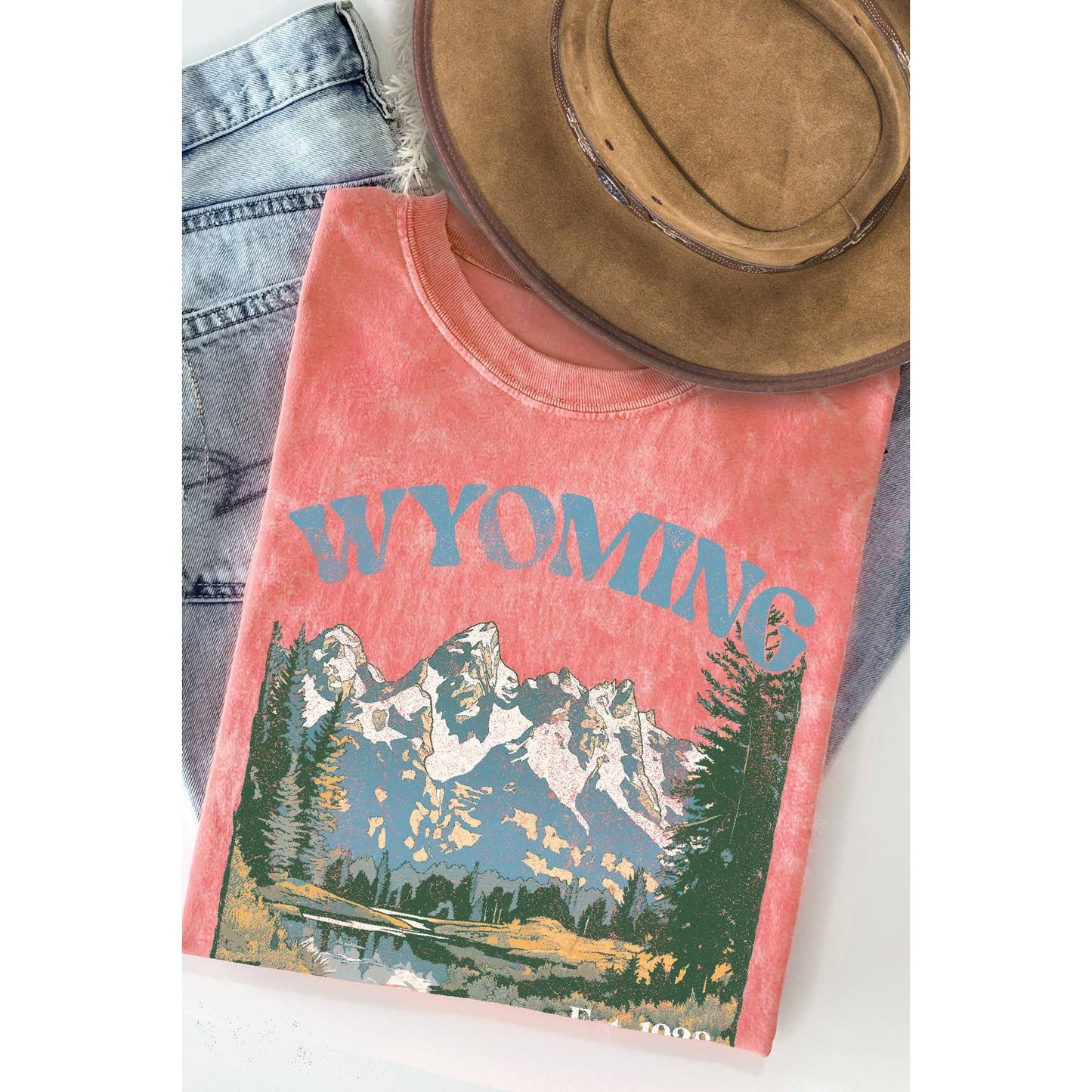 Grand Teton Wyoming Mineral Wash T Shirt