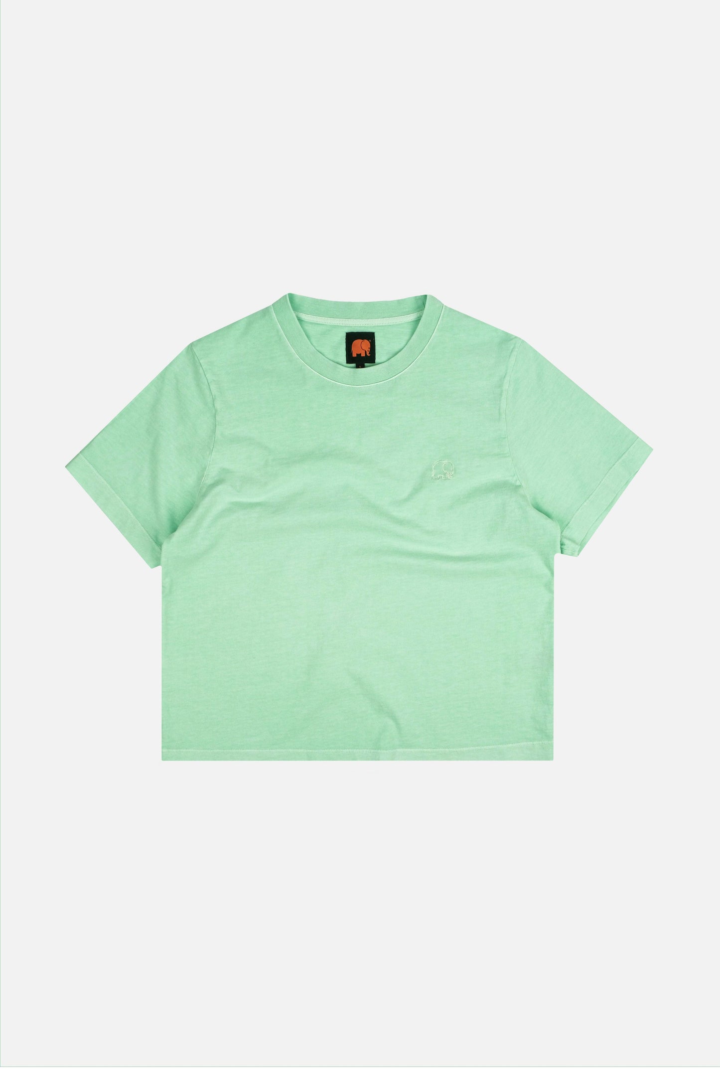 Women’S Essential Pigment T-Shirt Dusty Aqua