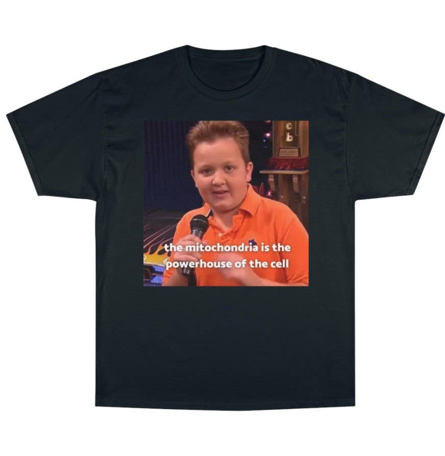 Gibby Teacher Funny T-Shirt - Retro Meme Unisex Tee