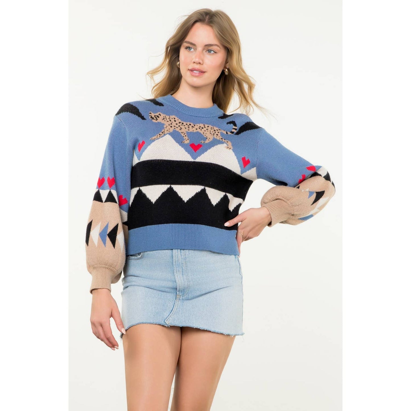 Animal Pattern Colorblock Knit Sweater
