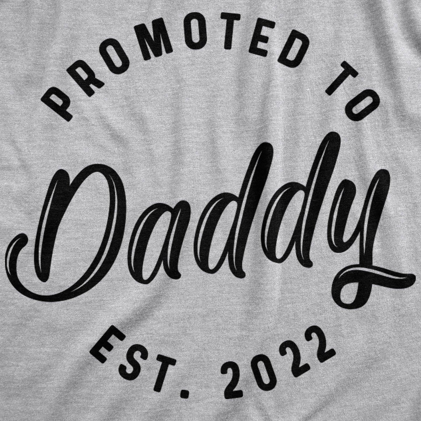 Promoted To Daddy 2022 Hoodie Father's Day Graphic Hoodie