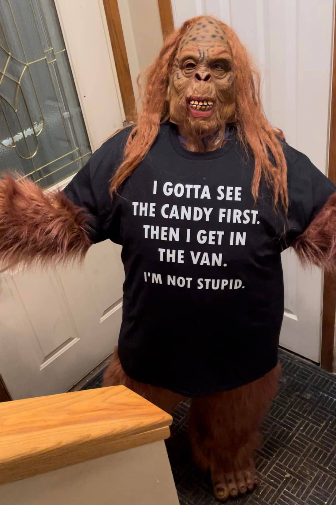 See the Candy - I'm Not Stupid - Tshirt (Black)