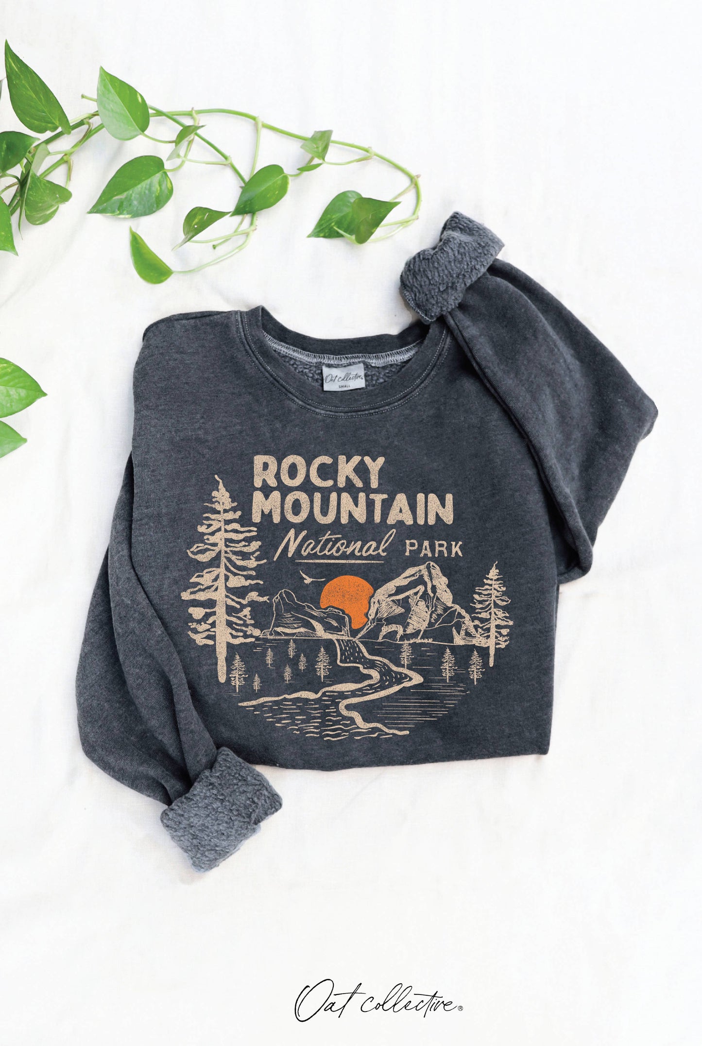 Rocky Mountain  Mineral Graphic Sweatshirt