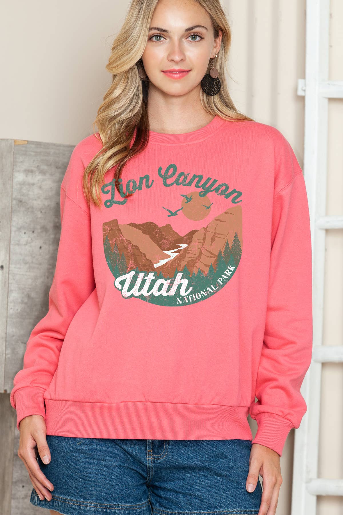 Women Utah Graphic Print Solid Pullover Sweater