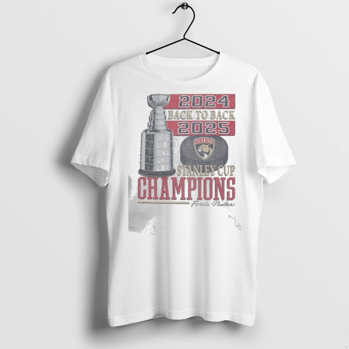 Premium Florida Panthers Back To Back Vintage 2025 T Shirts