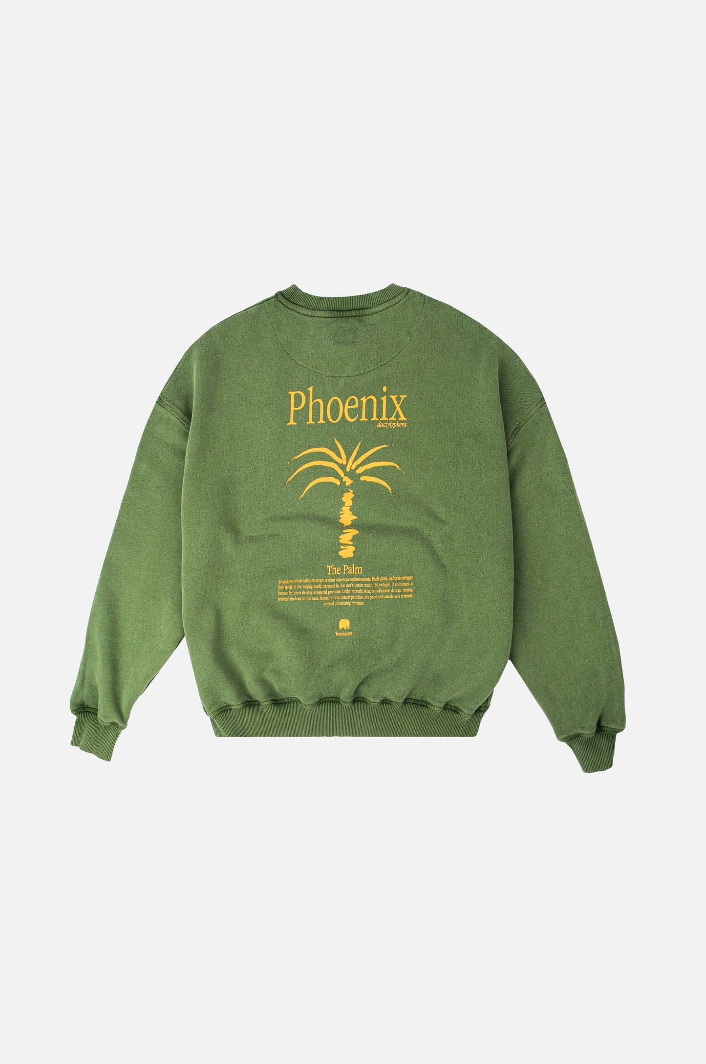 Women’S Pigment Oversized Midweight Sweater Washingtonia Pinnas Green