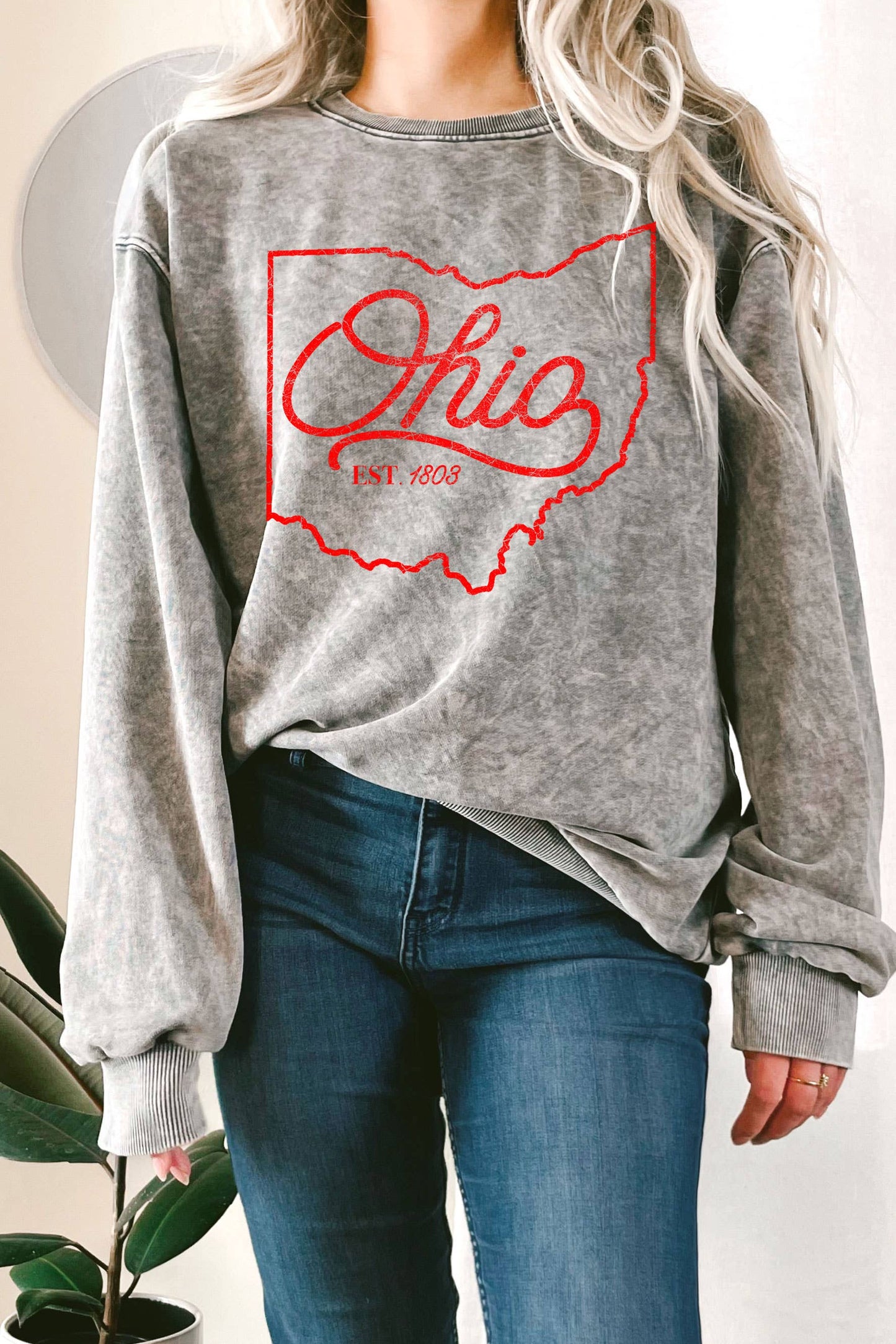 Ohio State Puff Mineral Graphic Terry Sweatshirt