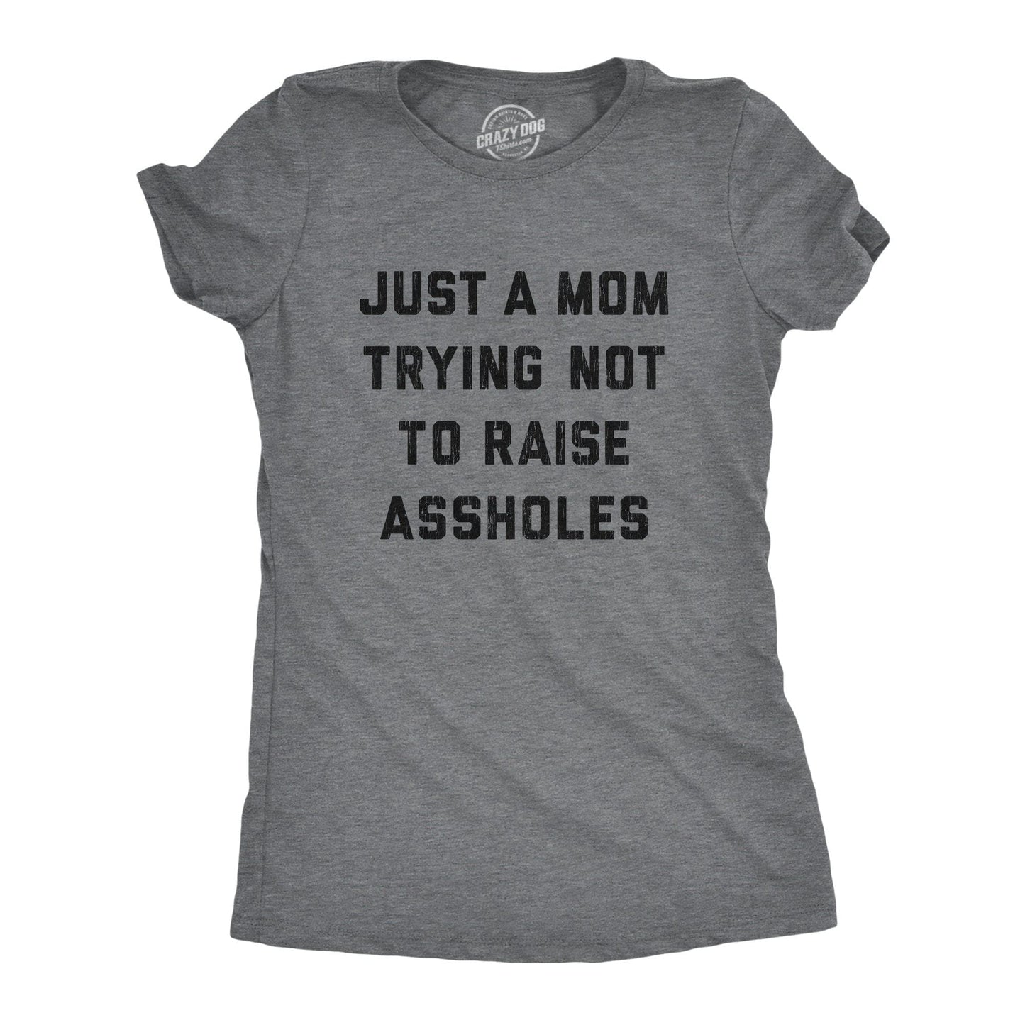 Just A Mom Trying Not To Raise Assholes Women's Tshirt