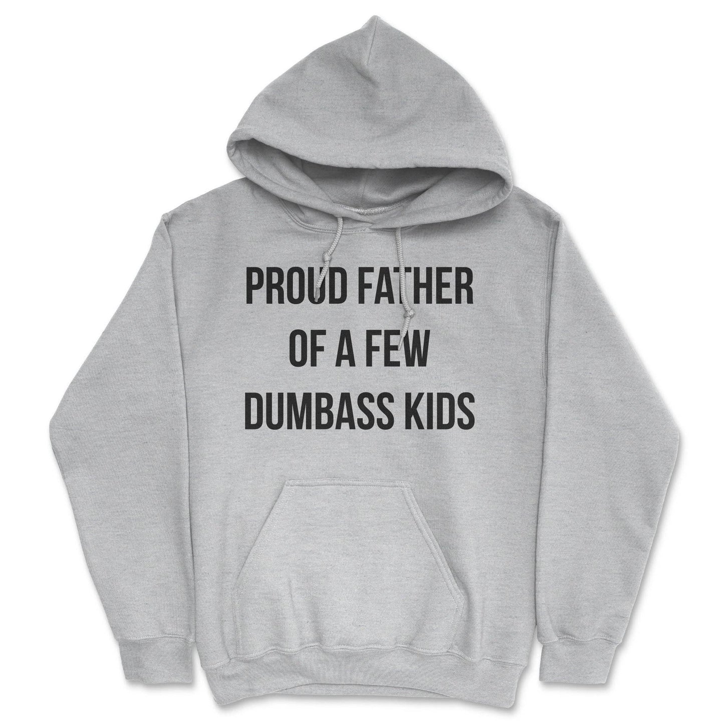 Proud Father of A Few Dumbass Kids Hoodie