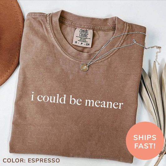I Could Be Meaner Funny Quote Sarcastic Shirt