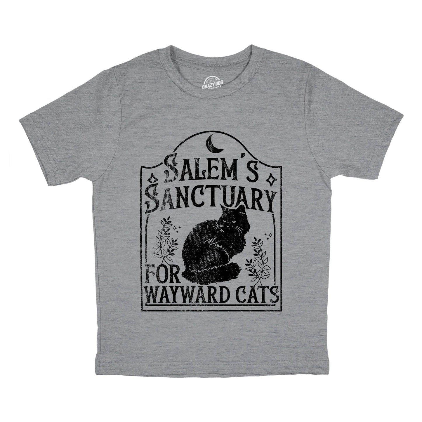Salems Sanctuary For Wayward Cats Youth T Shirt